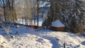 Ảnh trong thư viện ảnh của Ferienhäuser zum Badeweiher ở Neuschönau +31 ảnh