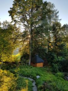 Ảnh trong thư viện ảnh của Ferienhäuser zum Badeweiher ở Neuschönau