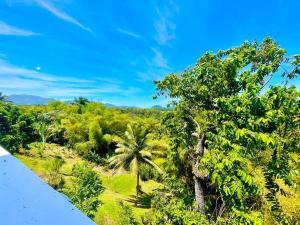 una vista de la selva desde el techo de una casa en Gîtes KUMQUAT, en Petit-Bourg