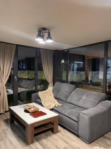 Sala de estar con sofá gris y mesa de centro en Valea Mosului - Cozy A Frame en Petroşani