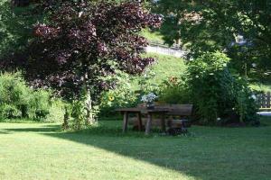 una mesa de picnic sentada en el césped junto a un árbol en Ruadlhof, en Leutasch