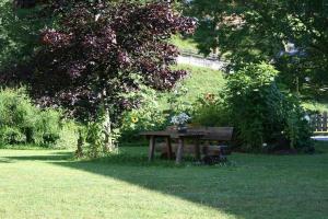 a picnic table sitting in the grass next to a tree at Ruadlhof in Leutasch