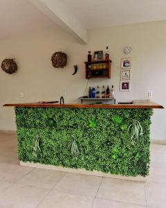 a bar with a green wall in a room at Casa com piscina e muita tranquilidade in Rio de Janeiro
