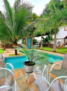 a potted plant sitting on a table next to a pool at Casa com piscina e muita tranquilidade in Rio de Janeiro