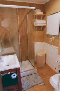 a bathroom with a shower and a sink and a toilet at Equs Posada de Campo in San Carlos de Bariloche