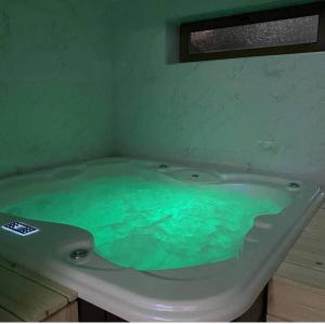 eine Badewanne mit grünem Wasser im Bad in der Unterkunft Ignjatovic 15 in Zlatibor