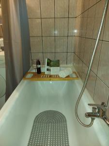 a bathroom with a shower and a bath tub at Vareš in Vareš +19 photos