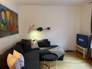 ein Wohnzimmer mit einem Sofa und einem TV in der Unterkunft BELIEBT: Zentrales & ruhiges Innenstadtapartment in Halle an der Saale
