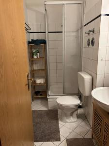 een badkamer met een douche, een toilet en een wastafel bij BELIEBT: Zentrales & ruhiges Innenstadtapartment in Halle an der Saale