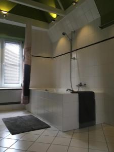 a bathroom with a shower and a bath tub at Lüttje Ferienhuus in Tönning