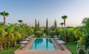 a pool with chairs and umbrellas and palm trees at Palais Hassoun Marrakech in Oulad Snaguia