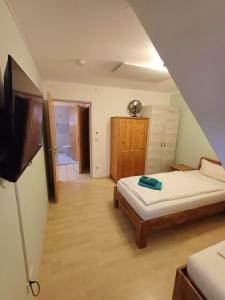 um quarto com uma cama e uma televisão em APARTMENT / WOHNUNG IN HAIBACH em Haibach
