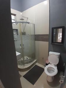 a bathroom with a shower with a toilet and a shower at Manor Family in Durban