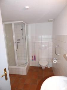 a bathroom with a shower and a toilet at Wasserkoog 22 in Tetenbüll
