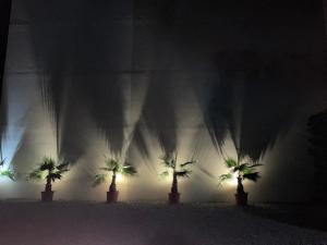 a group of palm trees in a dark room at La Marjolaine in Juan-les-Pins