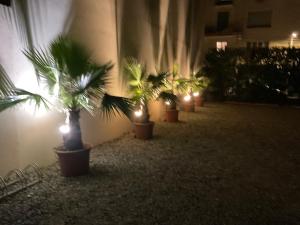 a row of palm trees in pots with lights at La Marjolaine in Juan-les-Pins