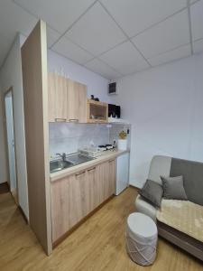 un soggiorno con divano e una cucina di Apartment Čolović a Raška