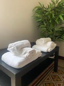 羅馬的住宿－卡瓦勒吉里莊園公寓，两条毛巾,放在桌子上,植有植物