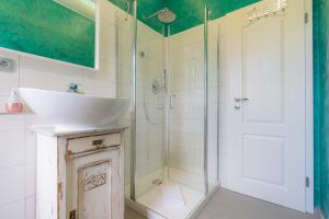 Un baño con lavabo y ducha de cristal. en Lütte Kajüte, en Tönning