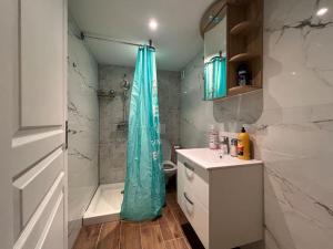 ein Badezimmer mit einer Dusche mit einem blauen Duschvorhang in der Unterkunft Charmant appartement Cosy in Reichstett