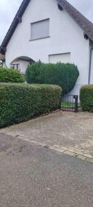 Photo de la galerie de l'établissement Charmant appartement Cosy, à Reichstett