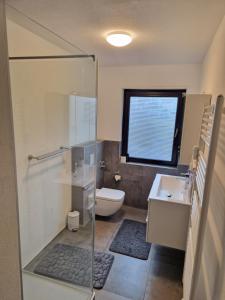 ein Bad mit einer Dusche, einem WC und einem Waschbecken in der Unterkunft Argenta Living 42 in Künzell
