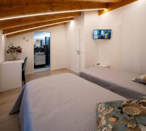1 dormitorio con 2 camas y TV en la pared en Camerini Guest House, en Piazzola sul Brenta
