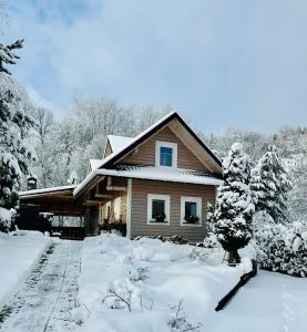 a house covered in snow with trees andrees at Tylicz Domek na Jankowym 90m in Tylicz