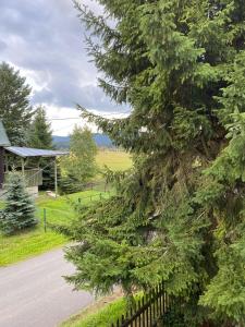 a pine tree next to a fence next to a road at Ubytování U Mikeše in Abertamy