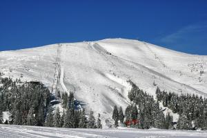 uma montanha coberta de neve com uma pista de esqui com árvores em Kvasnyi em Kobyletskaya Polyana