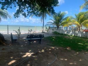 Casa Beira Mar - Enseada dos Golfinhos في إيتاماراكا: مقعد على الشاطئ بجوار المحيط