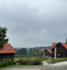 una fila de casas con árboles en el fondo en Ozoni & Sauna, en Sopot