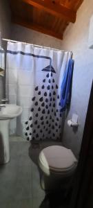 een badkamer met een toilet en een douchegordijn bij F R F departamentos turisticos Nº 2 in San Rafael