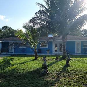 Κήπος έξω από το Vacation and party rental