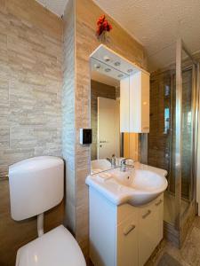 bagno con servizi igienici, lavandino e specchio di Appartamento Biancaneve a Passo del Tonale