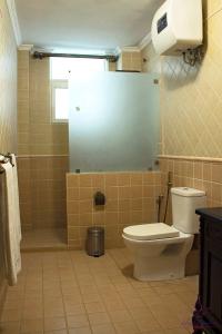 a bathroom with a toilet and a shower at Island Paradise Inn in Ngambo