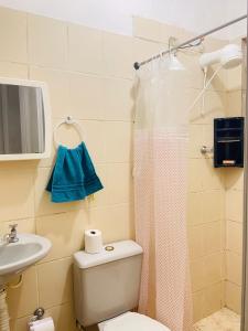 维拉维尔哈Maravilhosa Kitnet 10 min da praia的配有马桶、水槽和淋浴的浴室 更多24张照片