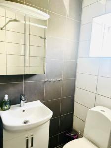 uma casa de banho com um lavatório branco e um WC. em Bryggvingens Apartment 1 em Nösund