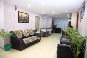 uma sala de estar com um sofá e vasos de plantas em Sikaria Homes em Ranchi
