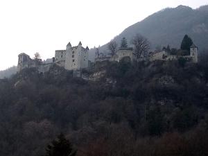 a castle on top of a hill with trees at Le st jean familiale in Saint-Jean-de-la-Porte