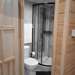 łazienka z toaletą i prysznicem w obiekcie NOCLEGI KAMEX domek 2-osobowy w mieście Olsztyn