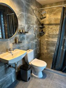 a bathroom with a sink and a toilet and a mirror at Карпати Плай Village in Bukovel +98 photos
