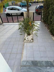 Zdjęcie z galerii obiektu Casa La Zorro w mieście Torrevieja