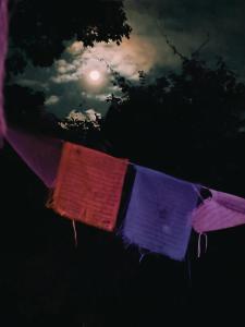 um grupo de varais com a lua no céu em SHANTHI SAMAYA HOLIDAY HOMESTAY em Darjeeling