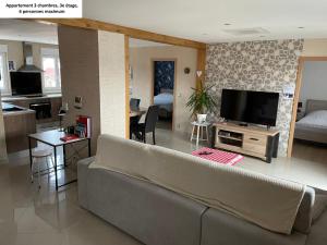 a living room with a couch and a television at Appartements centre ville Colmar 4 familles in Colmar +55 photos