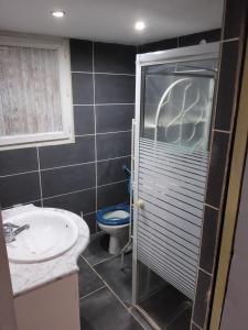 ein Bad mit einem WC, einem Waschbecken und einer Dusche in der Unterkunft Appartement avec terrain in Pézenas