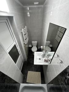 a bathroom with a sink and a mirror and a toilet at Зоряні Карпати in Slavske