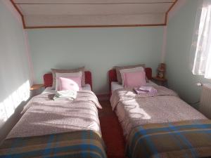 Duas camas num pequeno quarto com almofadas cor-de-rosa em Аpartman ELENA em Rakovac
