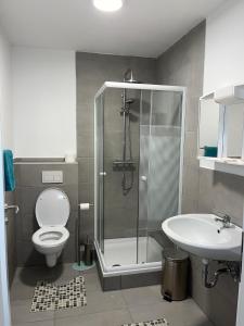 a bathroom with a shower and a toilet and a sink at Wohnungen bei Post in Hünfelden +32 photos
