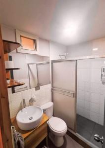 a bathroom with a toilet and a sink and a shower at La casa del Erizo in Oxapampa